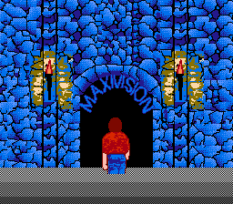 Maxi-15 Pack screenshot 4 for NES